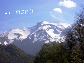 monti